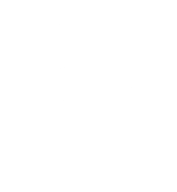 Jatem International
